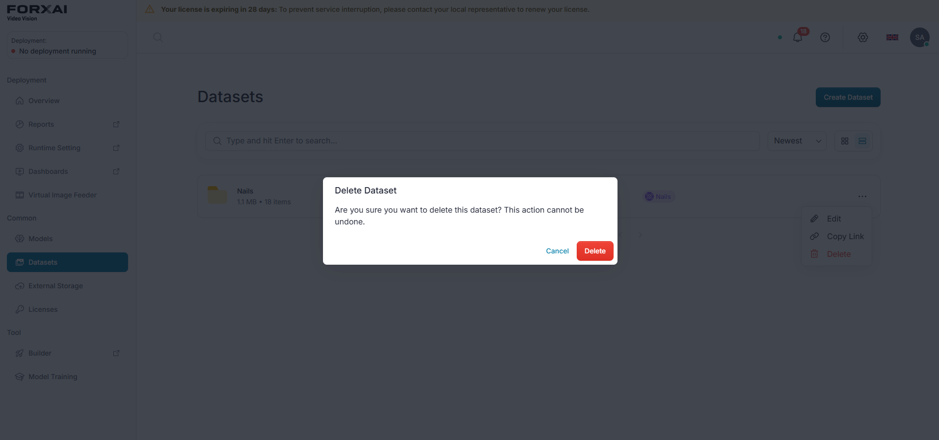 Delete Dataset