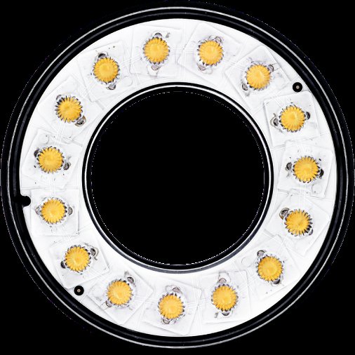 Ringlight 1